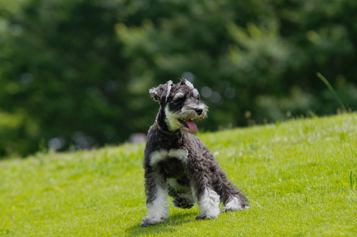 f:id:blue_rock53:20210627120654j:plain