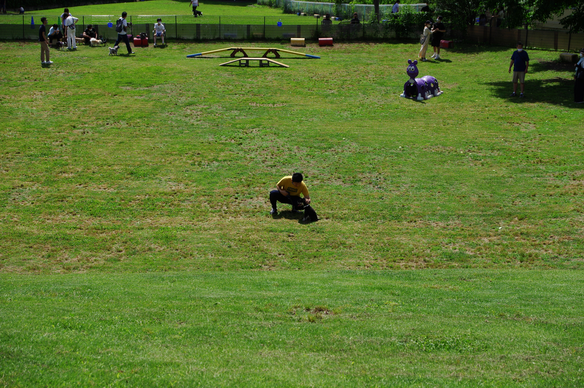 f:id:blue_rock53:20210627120728j:plain