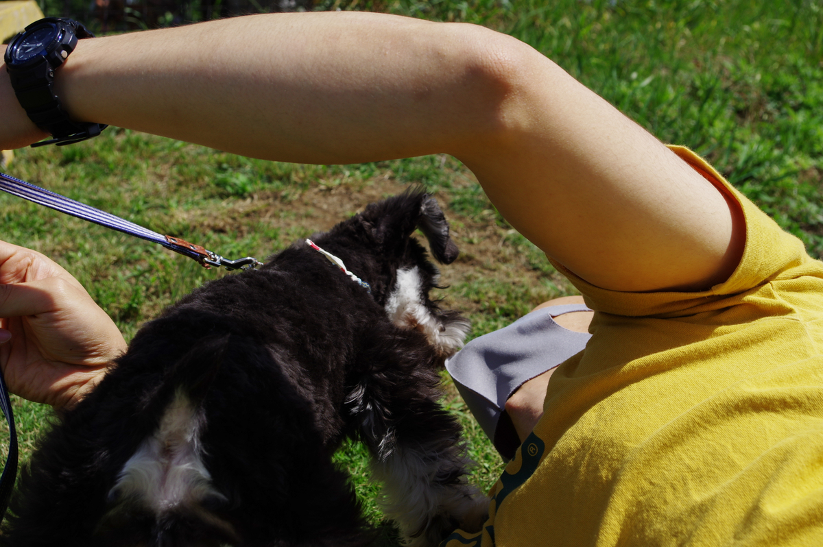 f:id:blue_rock53:20210627120752j:plain