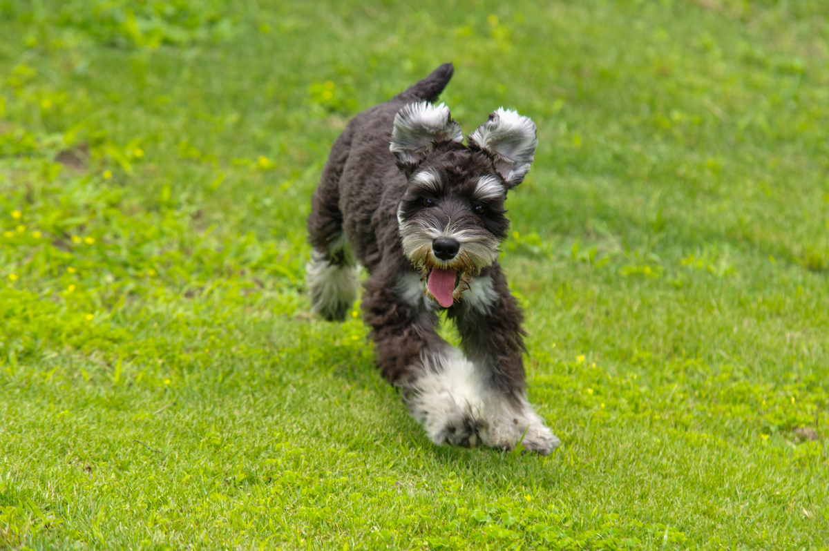 f:id:blue_rock53:20210627120828j:plain