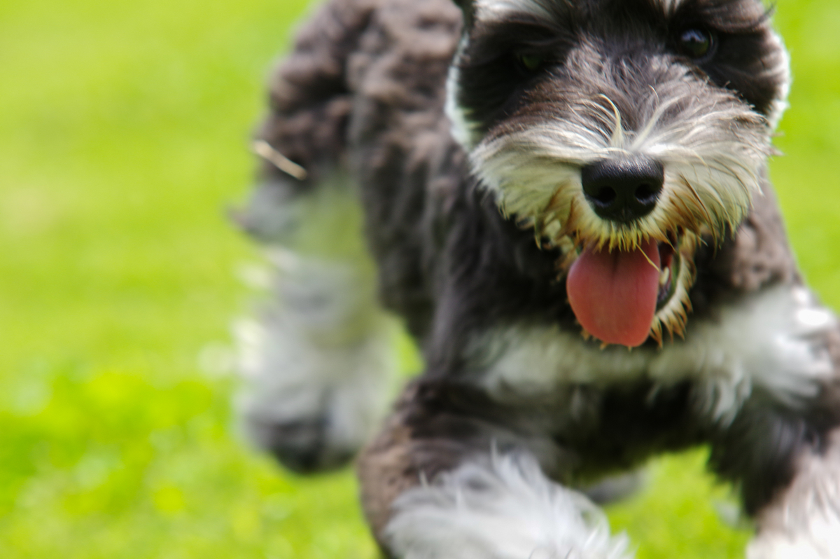 f:id:blue_rock53:20210627120917j:plain