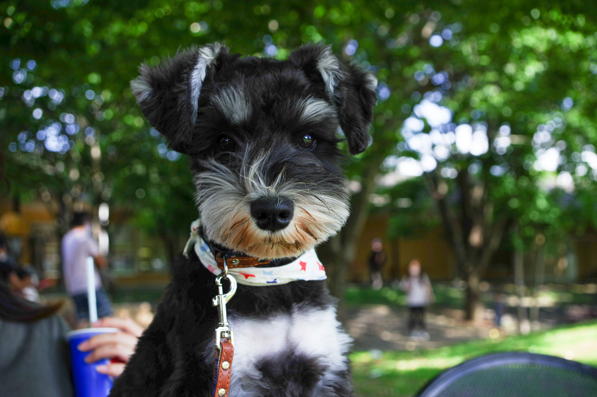 f:id:blue_rock53:20210627121027j:plain