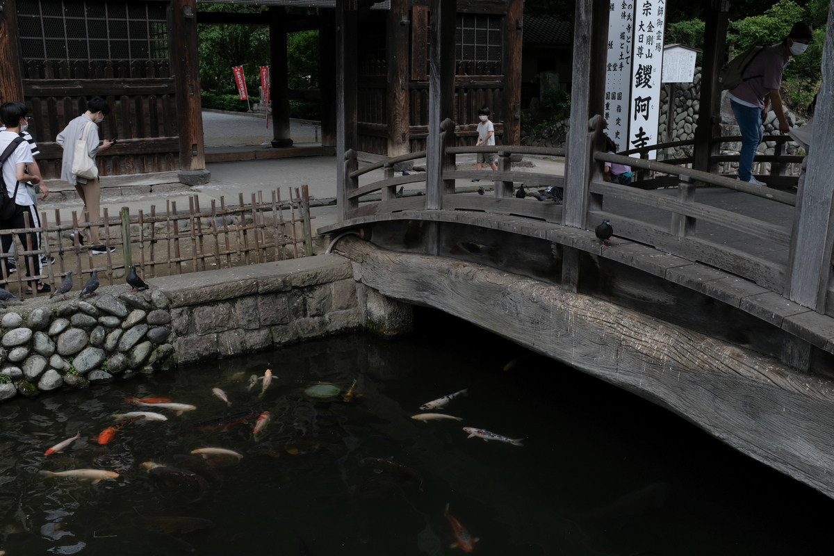 f:id:blue_rock53:20210710231550j:plain