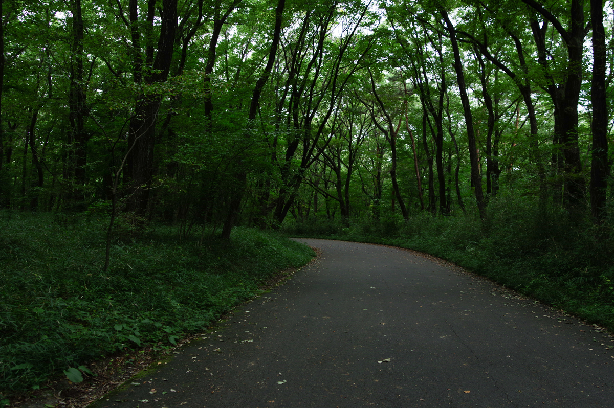 f:id:blue_rock53:20210926152909j:plain