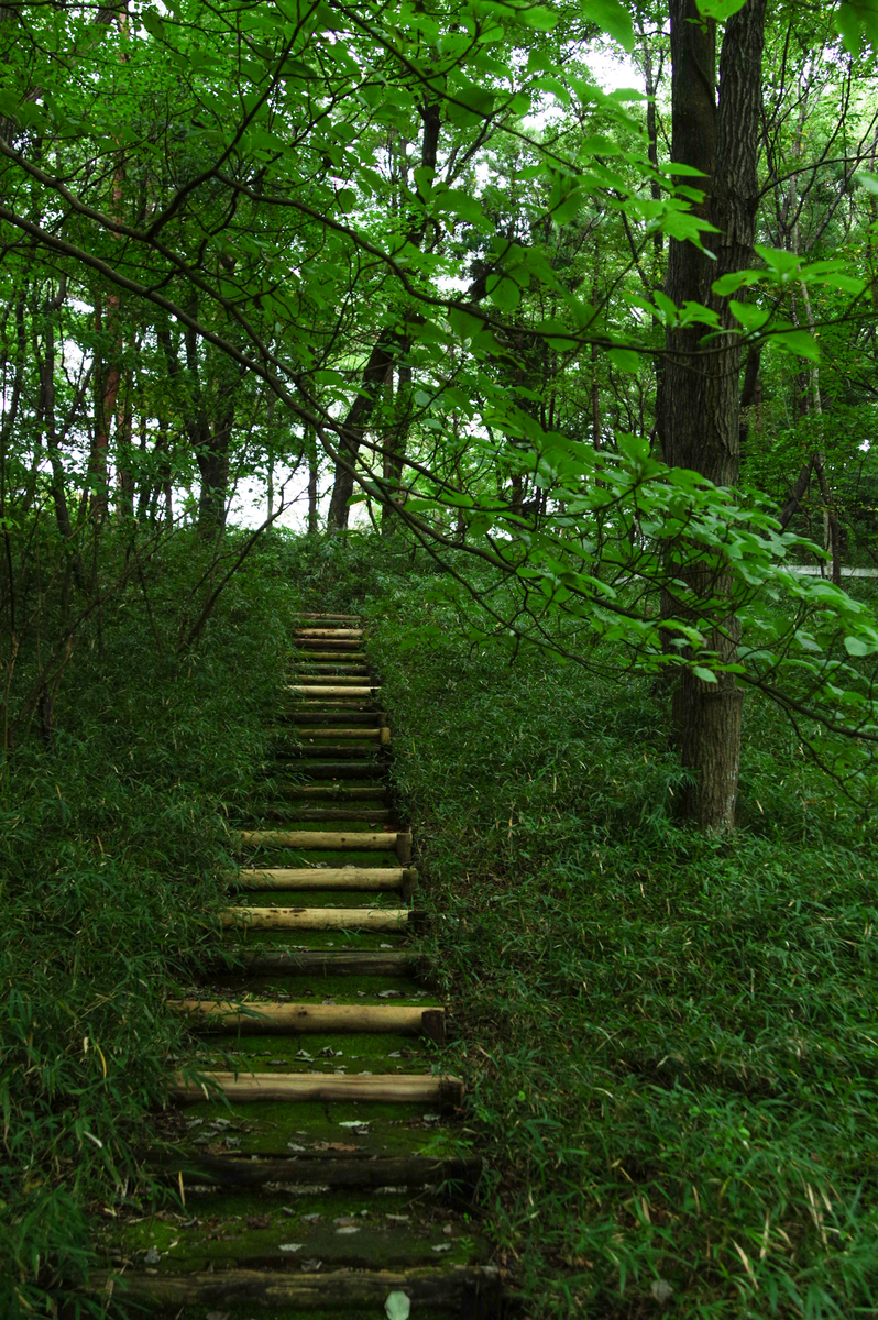 f:id:blue_rock53:20210926152925j:plain