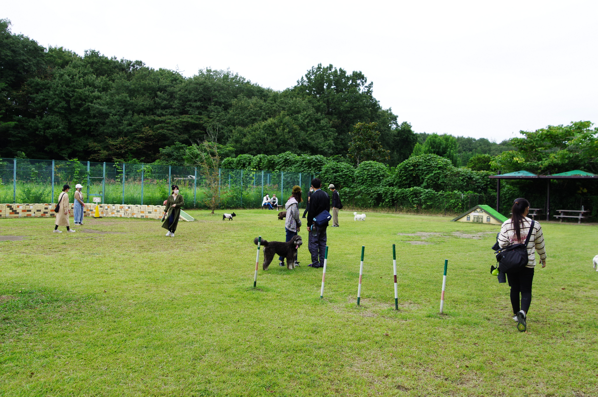 f:id:blue_rock53:20210926153003j:plain