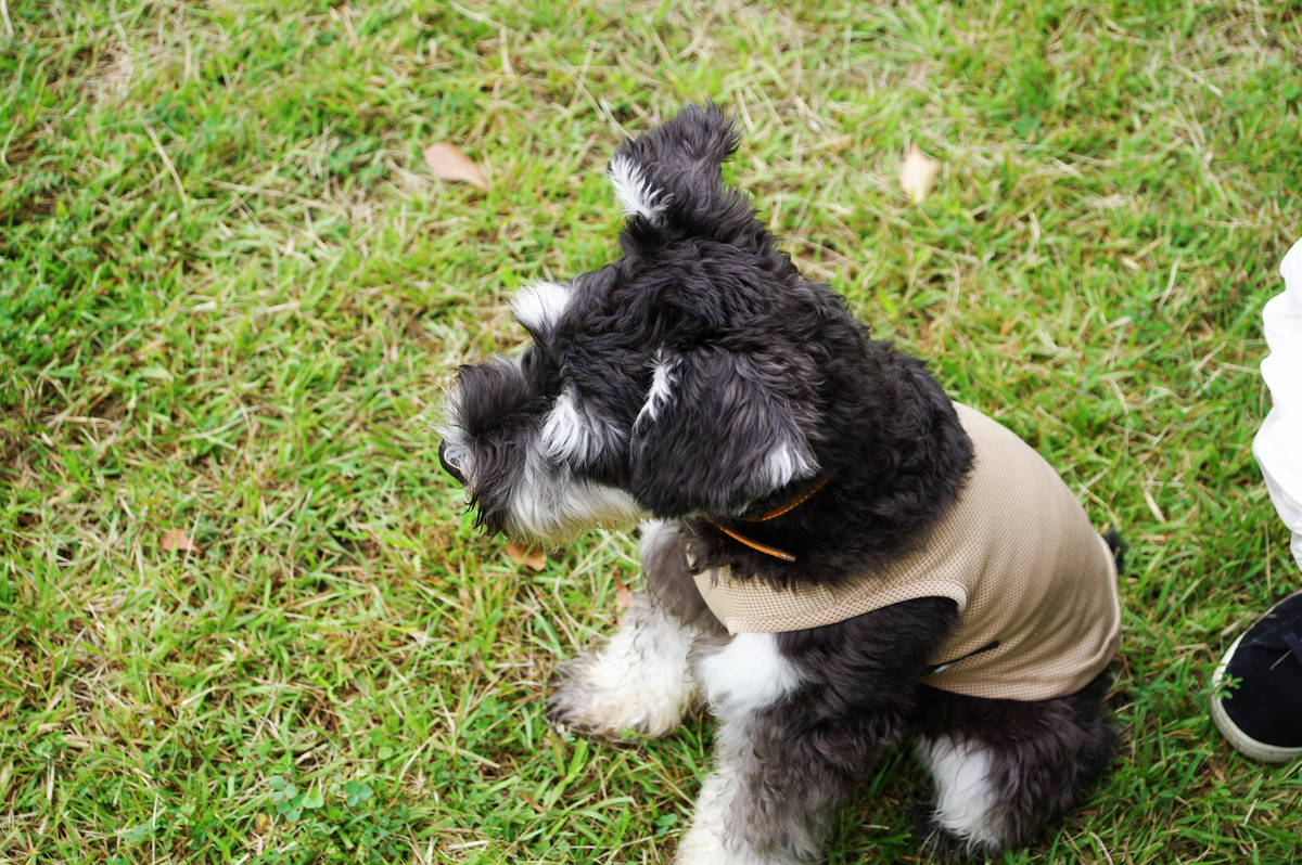 f:id:blue_rock53:20210926153156j:plain