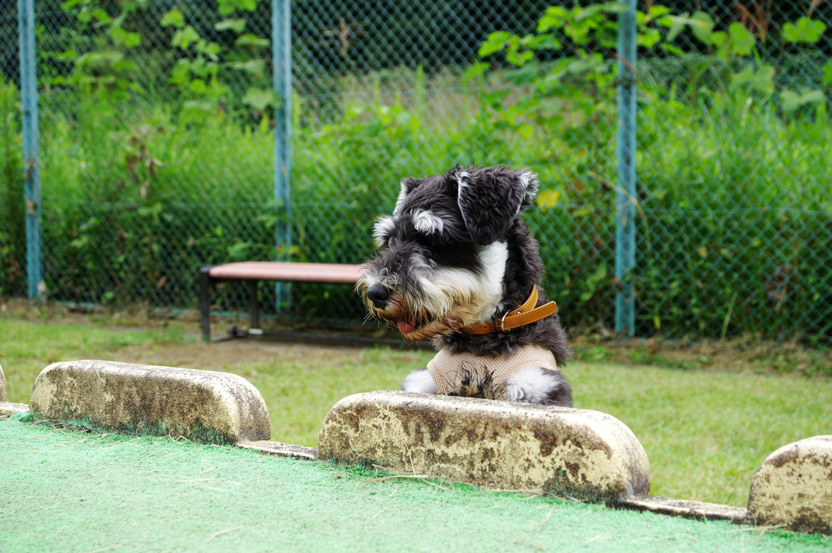 f:id:blue_rock53:20210926153230j:plain