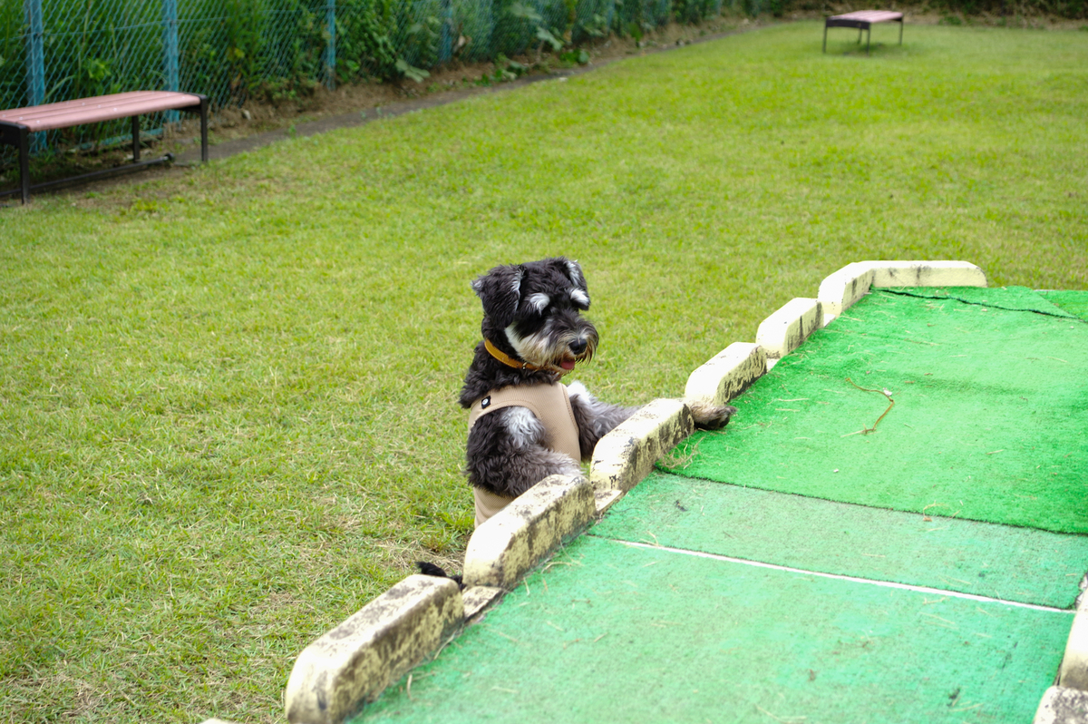 f:id:blue_rock53:20210926153242j:plain