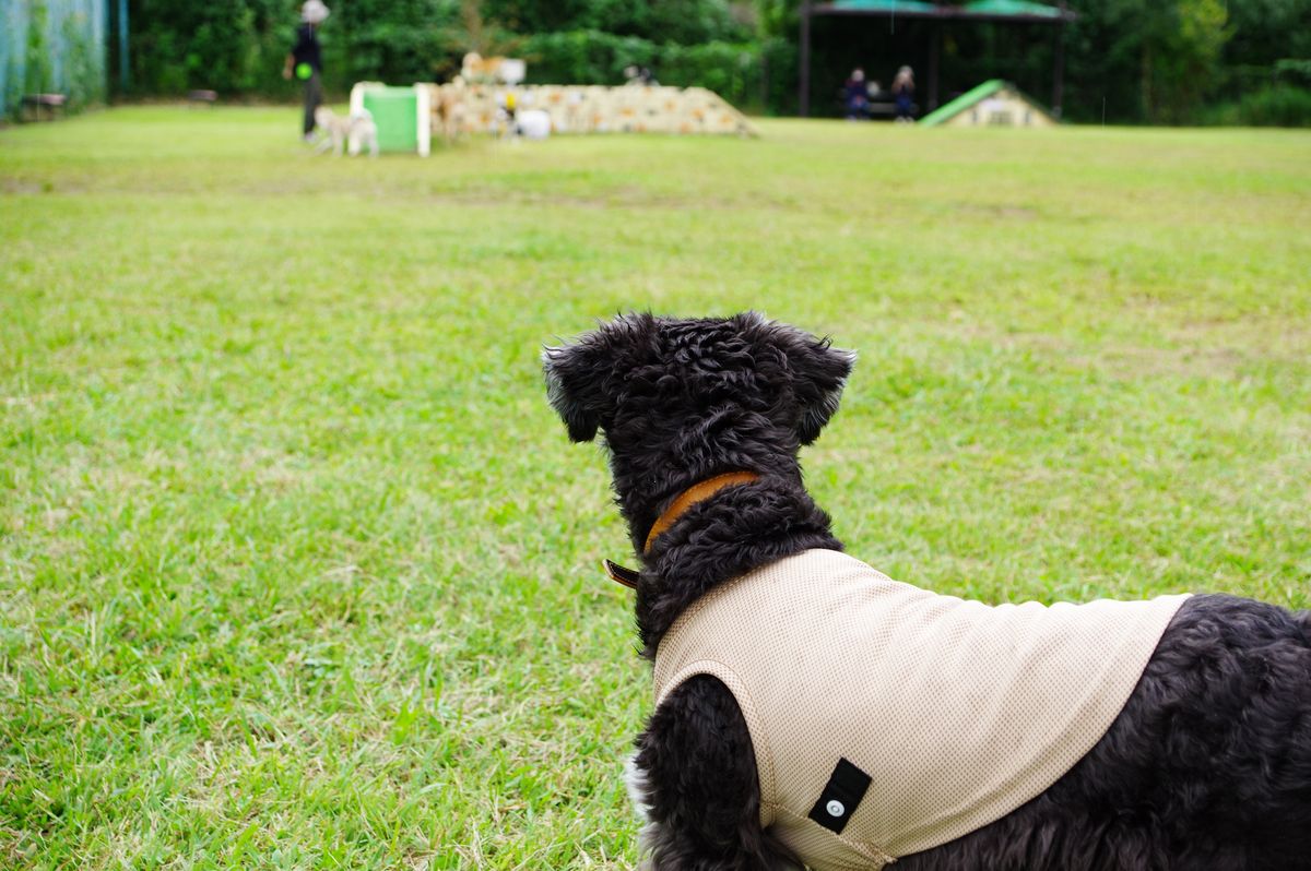 f:id:blue_rock53:20210926153255j:plain