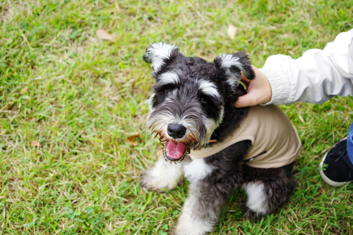 f:id:blue_rock53:20210926153312j:plain