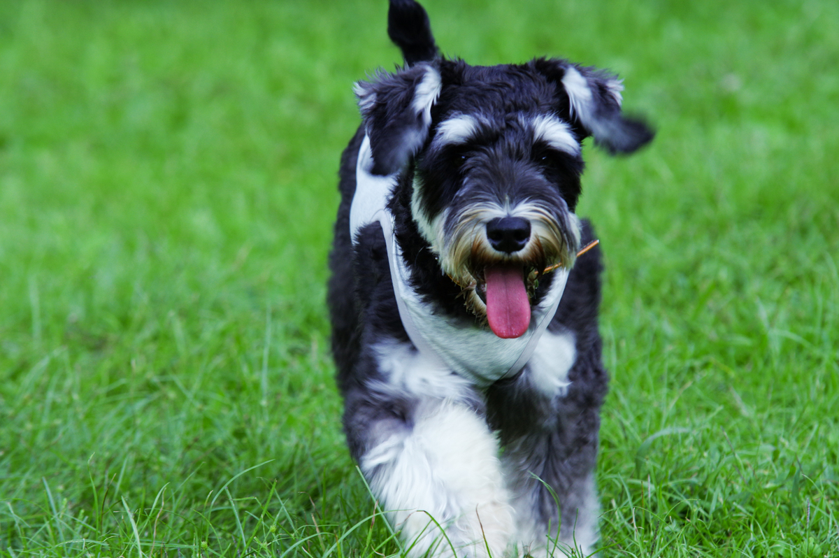 f:id:blue_rock53:20210926153353j:plain