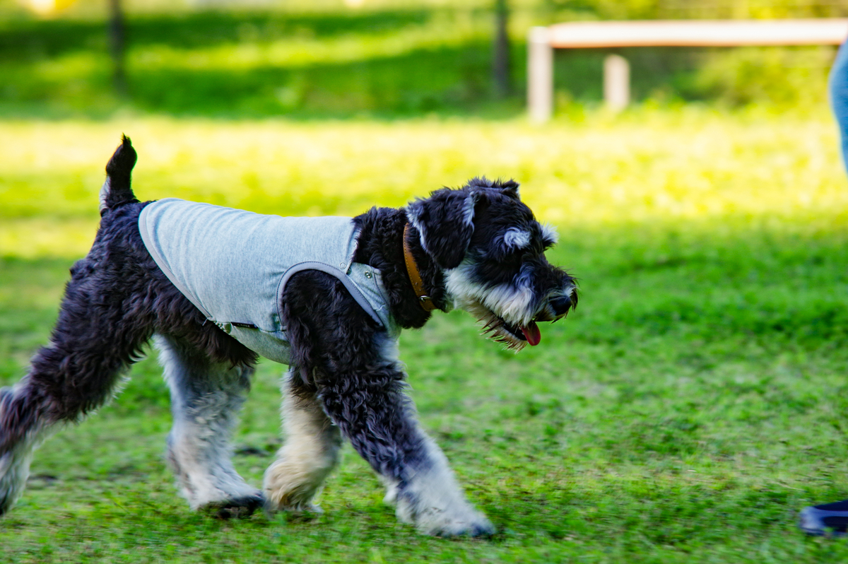 f:id:blue_rock53:20210926153406j:plain