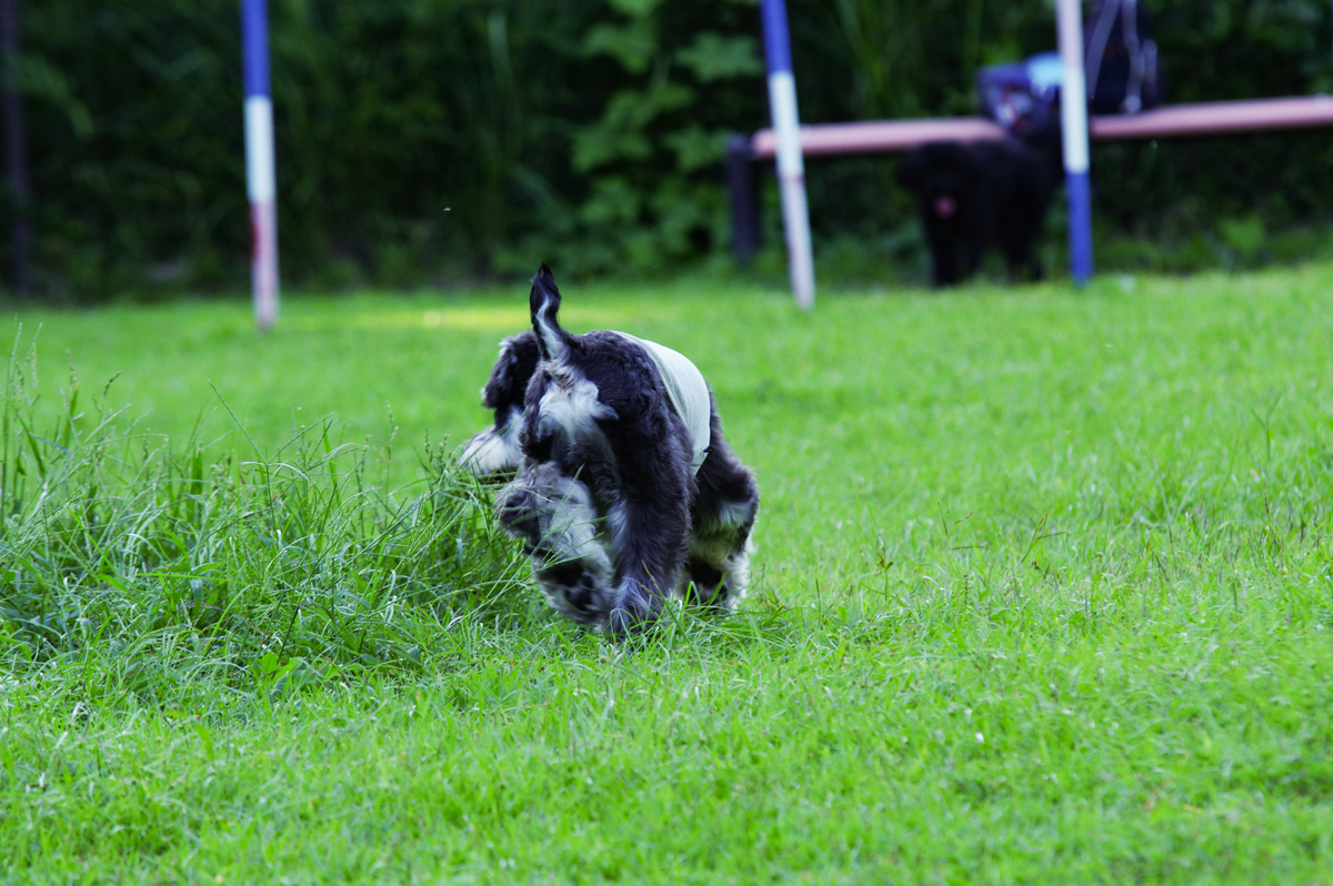 f:id:blue_rock53:20210926153442j:plain