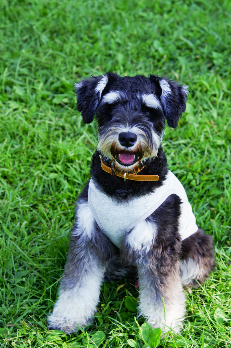 f:id:blue_rock53:20210926153520j:plain