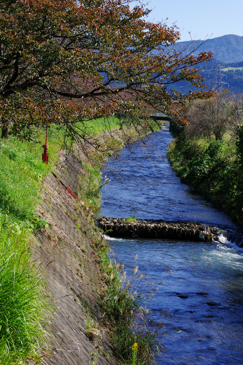 f:id:blue_rock53:20211106230912j:plain