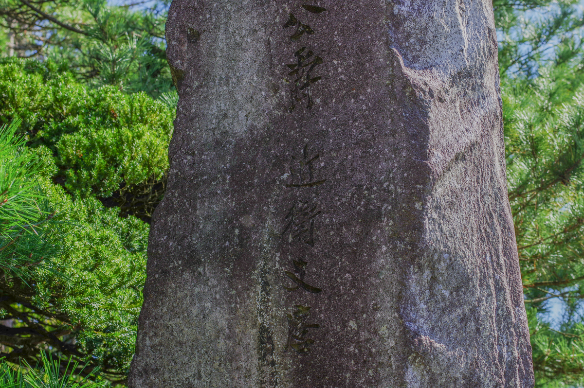 f:id:blue_rock53:20211106230955j:plain