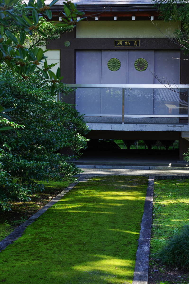 f:id:blue_rock53:20211106231011j:plain