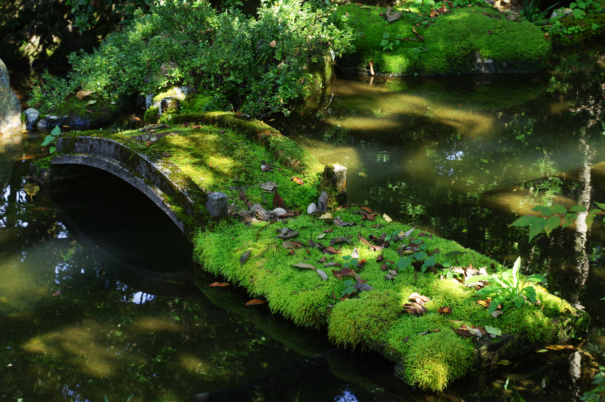 f:id:blue_rock53:20211106231106j:plain