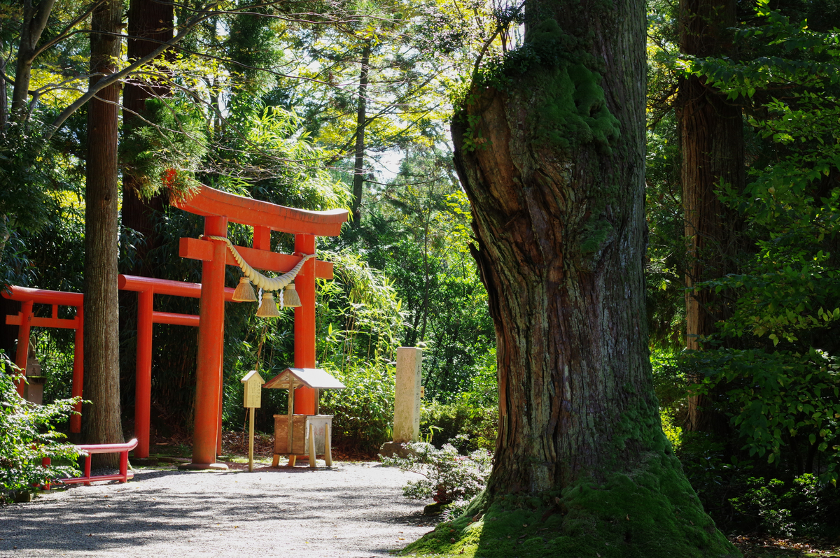 f:id:blue_rock53:20211106231223j:plain