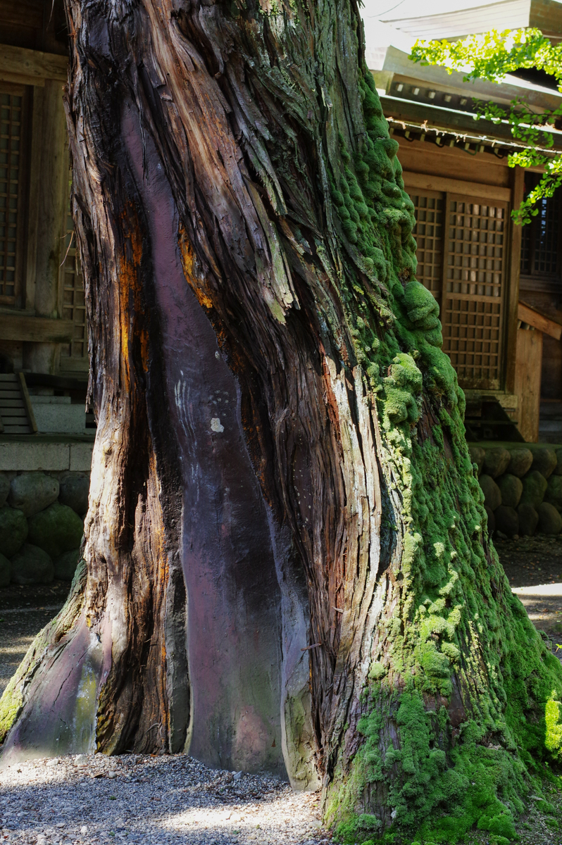 f:id:blue_rock53:20211106231249j:plain