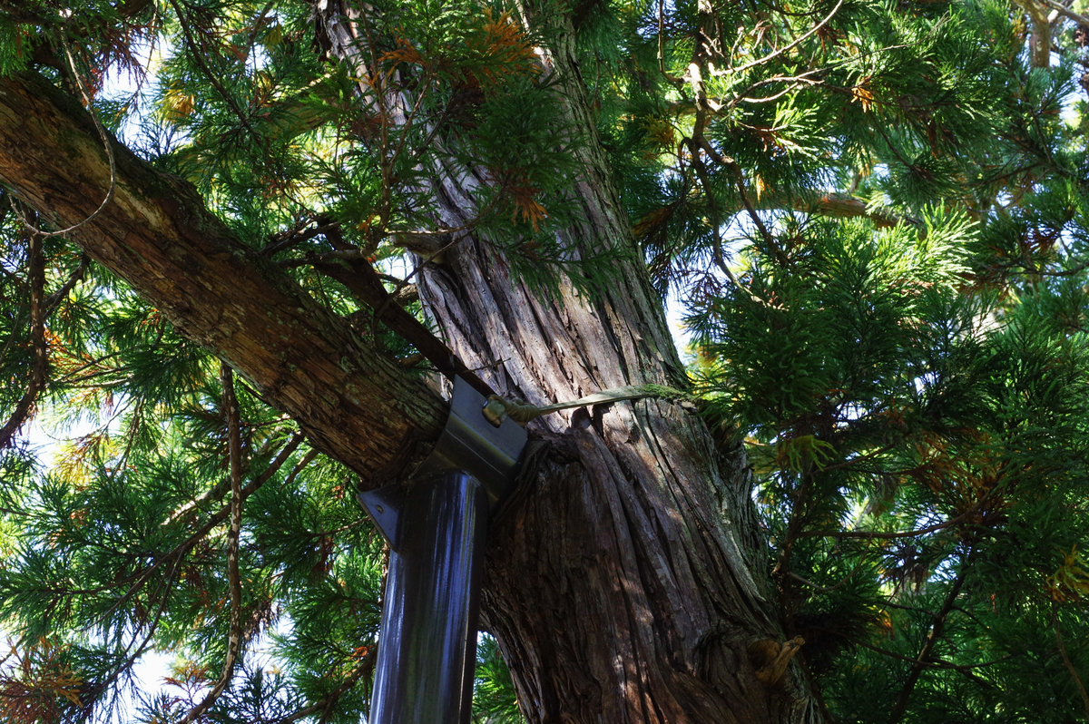 f:id:blue_rock53:20211106231255j:plain