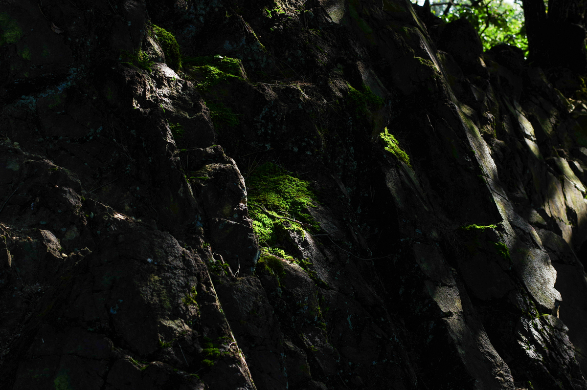 f:id:blue_rock53:20211219213626j:plain