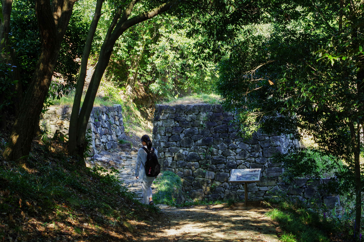 f:id:blue_rock53:20211219213702j:plain