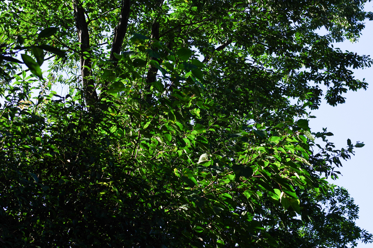 f:id:blue_rock53:20211219213748j:plain