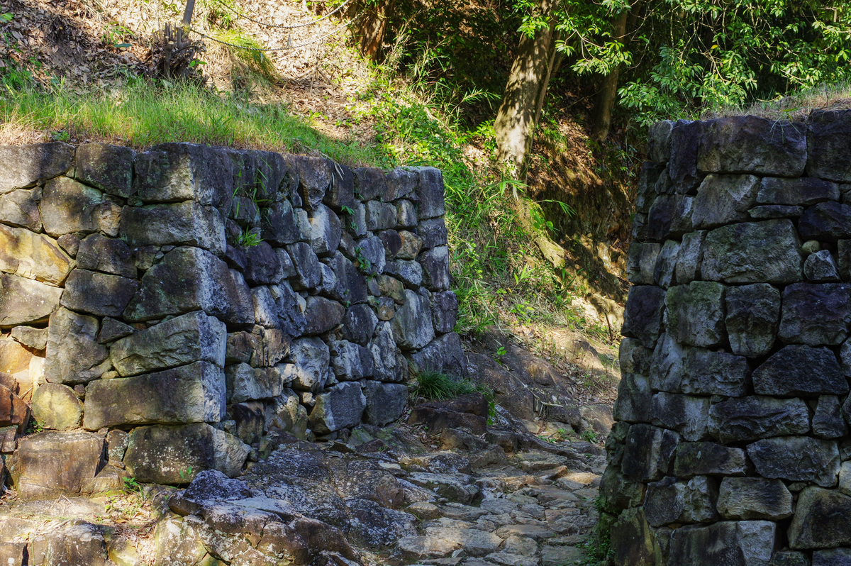 f:id:blue_rock53:20211219213824j:plain