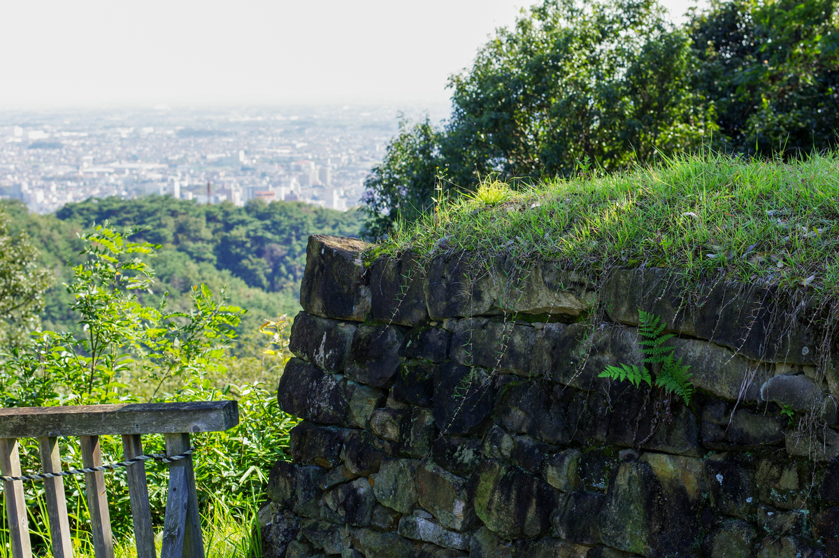 f:id:blue_rock53:20211219213855j:plain