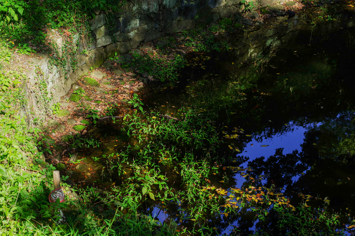 f:id:blue_rock53:20211219214001j:plain