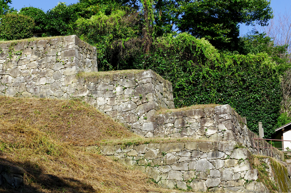 f:id:blue_rock53:20211219214109j:plain