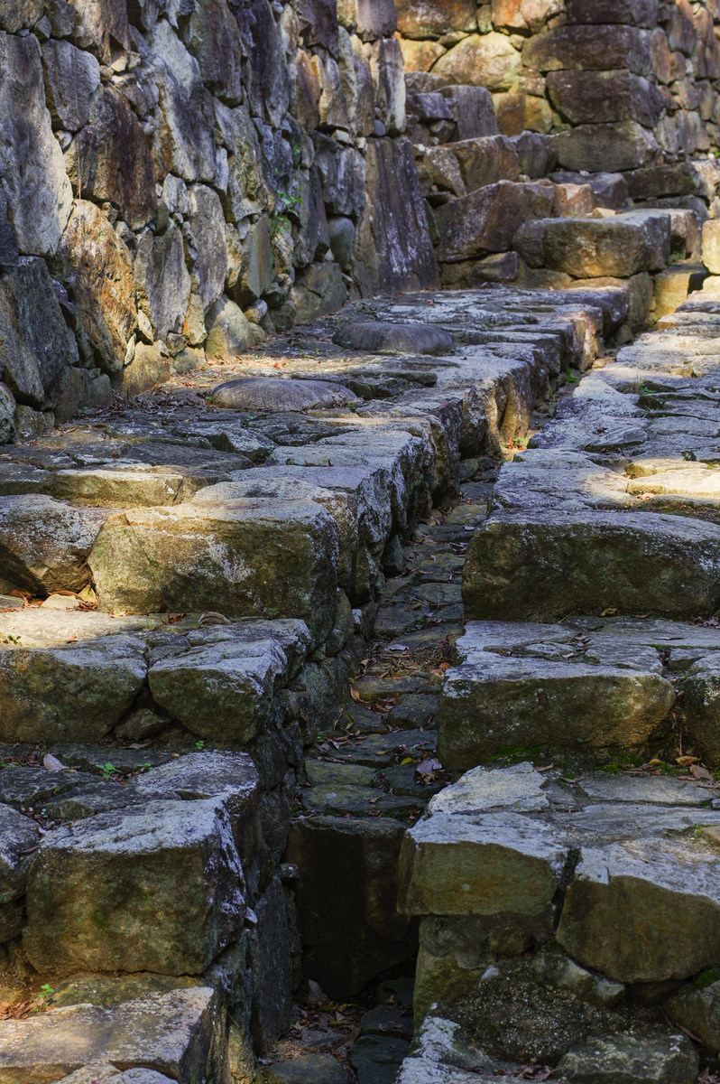 f:id:blue_rock53:20211219214121j:plain