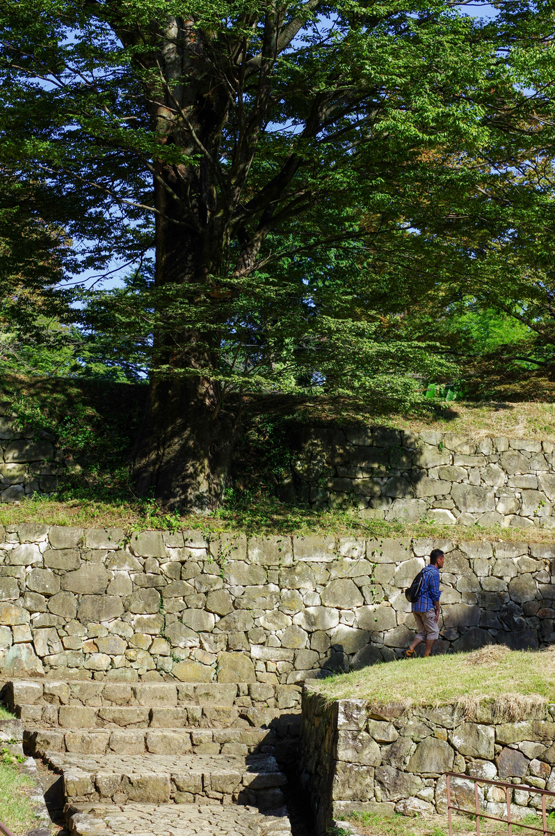 f:id:blue_rock53:20211219214242j:plain