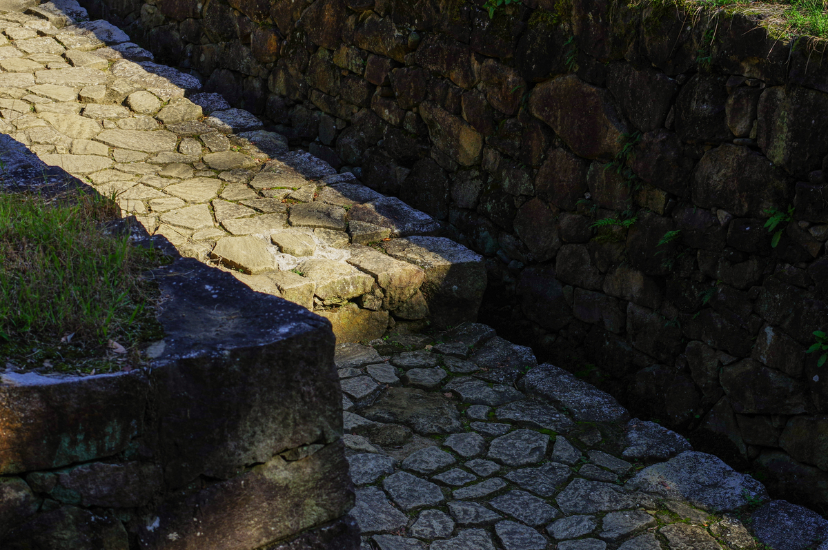 f:id:blue_rock53:20211219214248j:plain