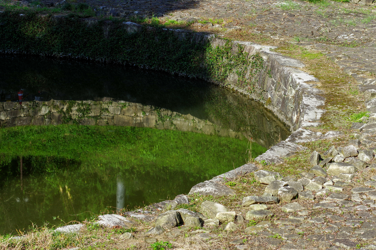 f:id:blue_rock53:20211219214315j:plain