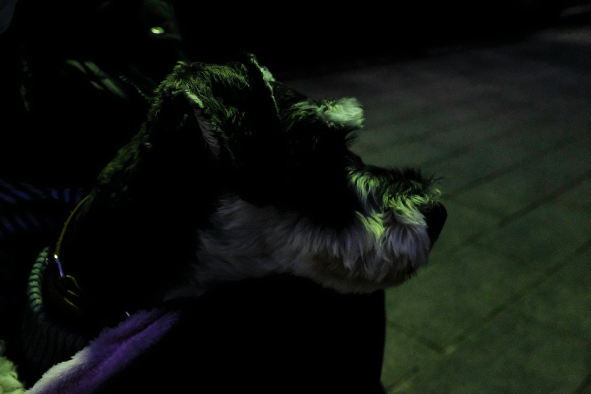 f:id:blue_rock53:20220102222853j:plain