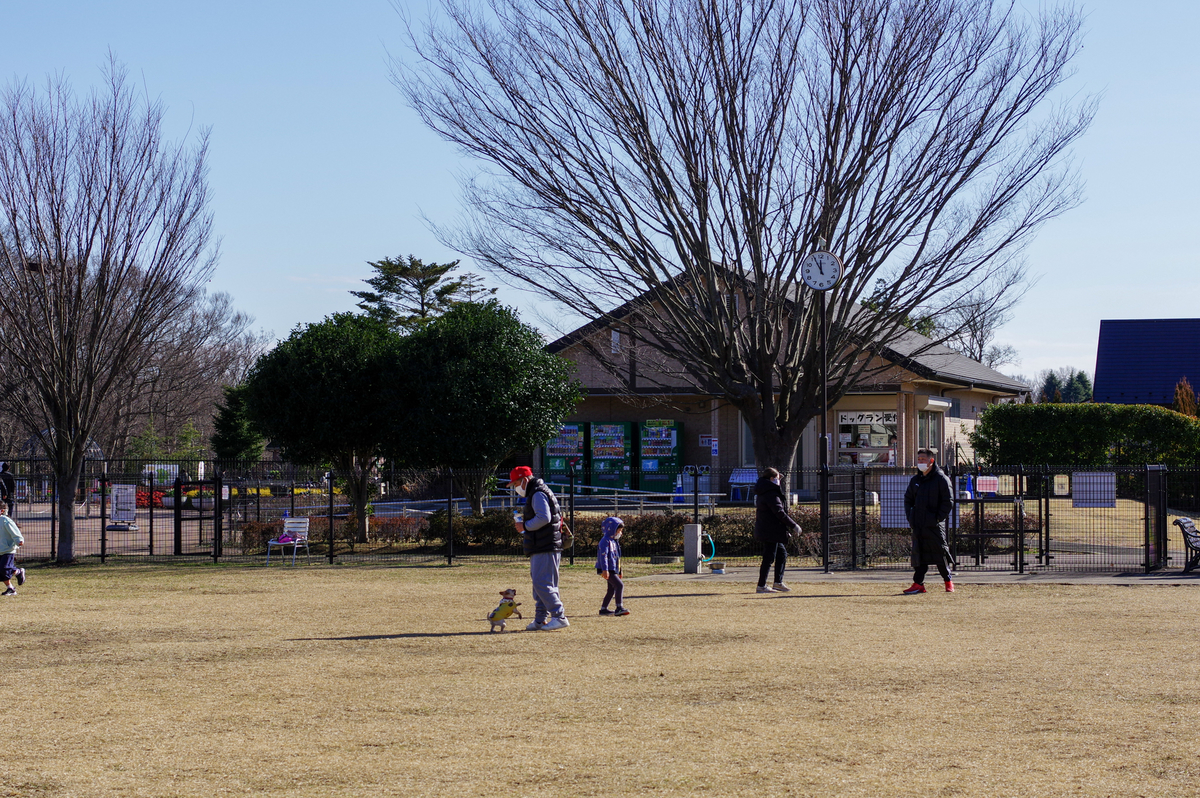 f:id:blue_rock53:20220109141634j:plain