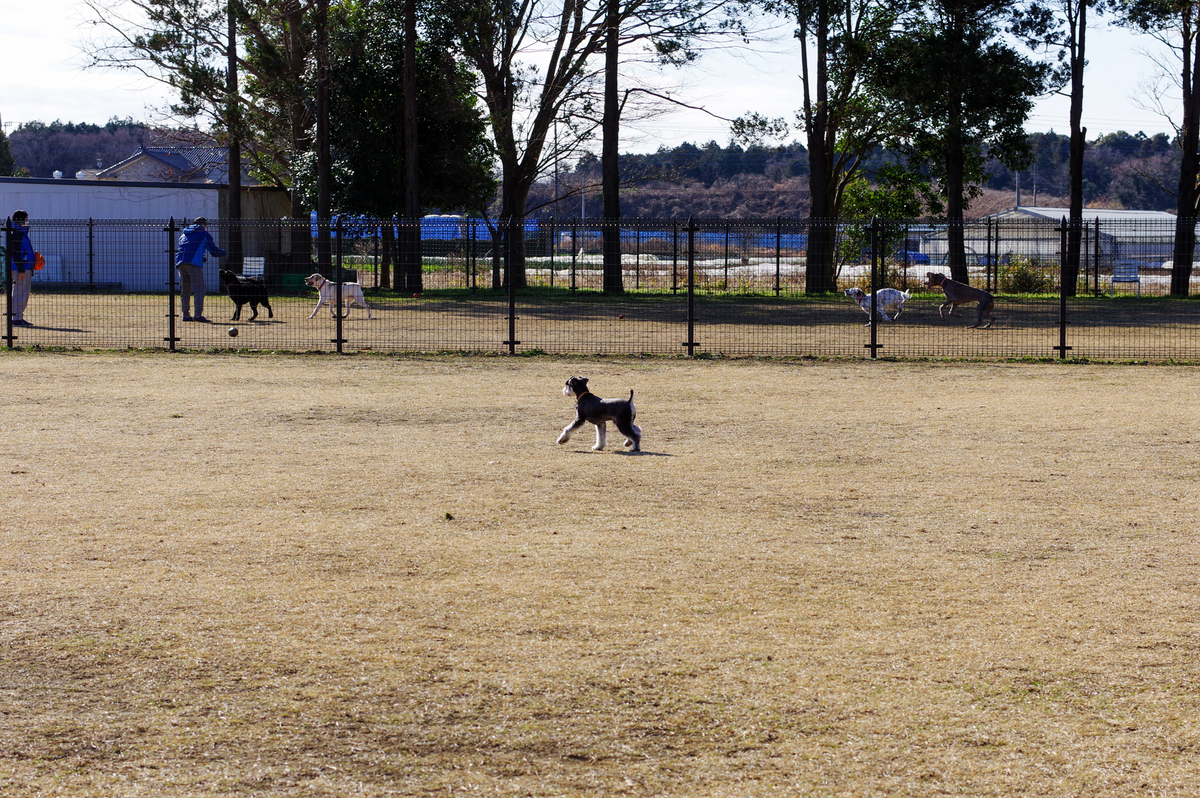 f:id:blue_rock53:20220109143412j:plain