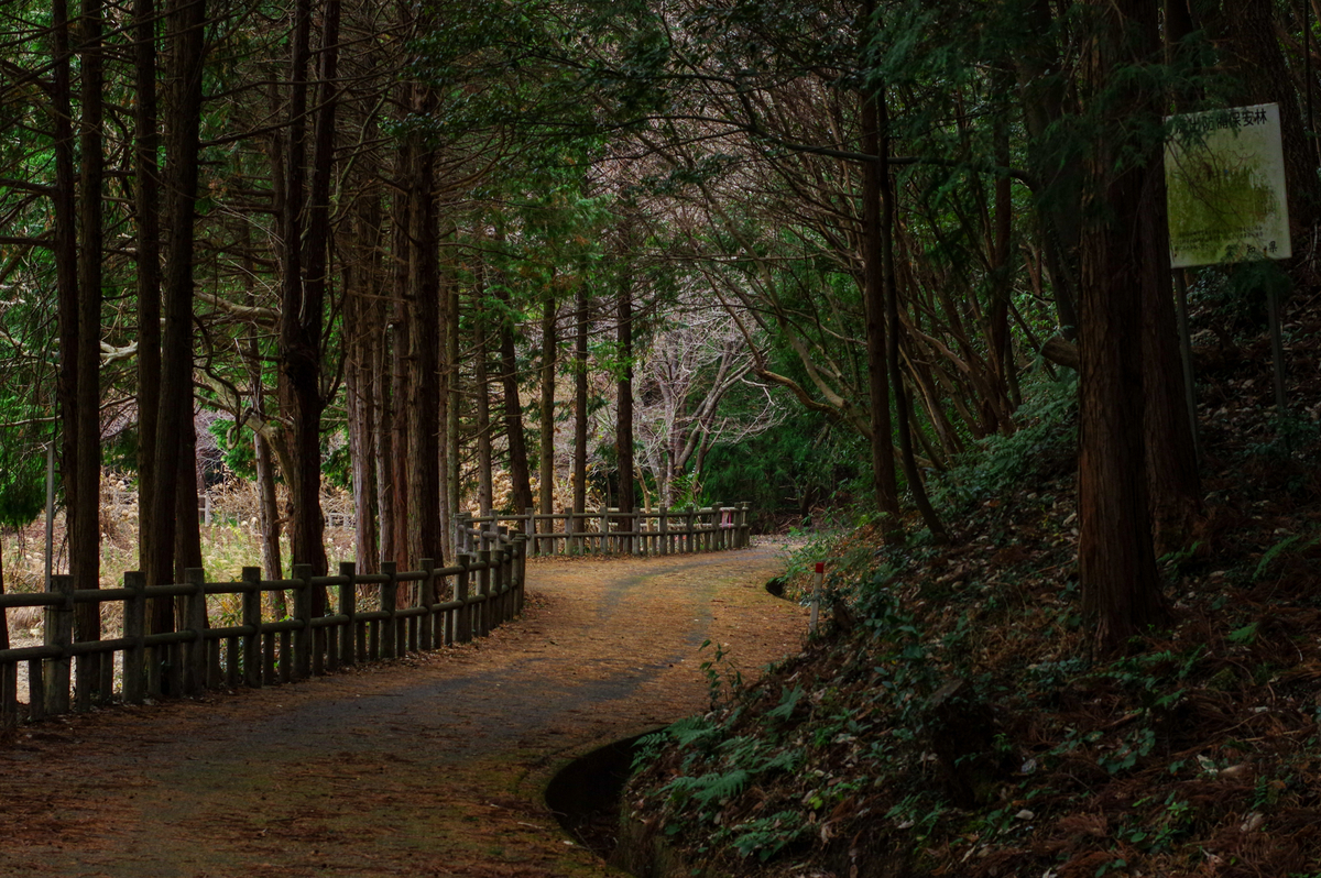 f:id:blue_rock53:20220109152000j:plain