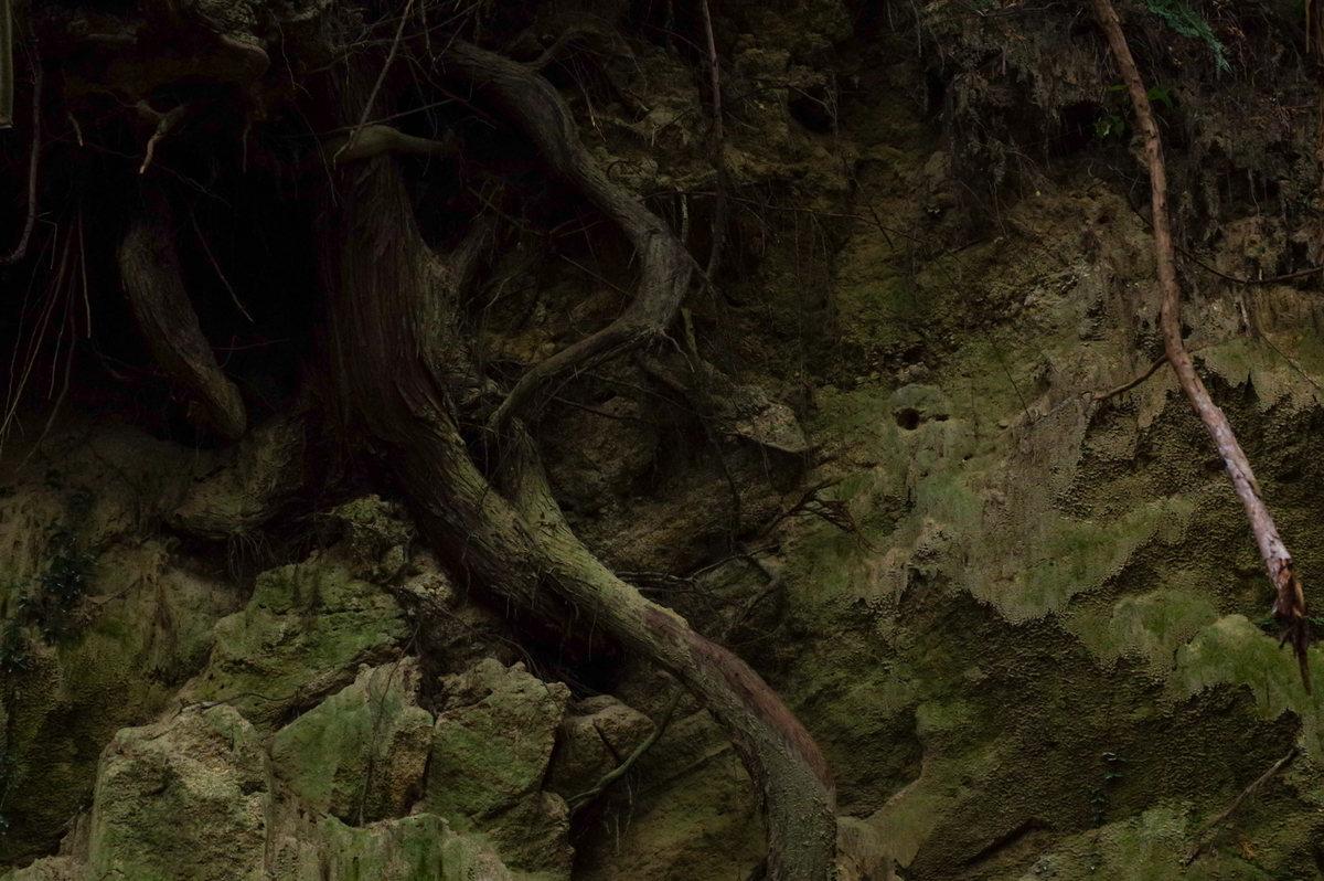 f:id:blue_rock53:20220109152031j:plain