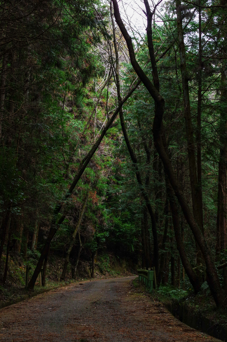 f:id:blue_rock53:20220109152045j:plain