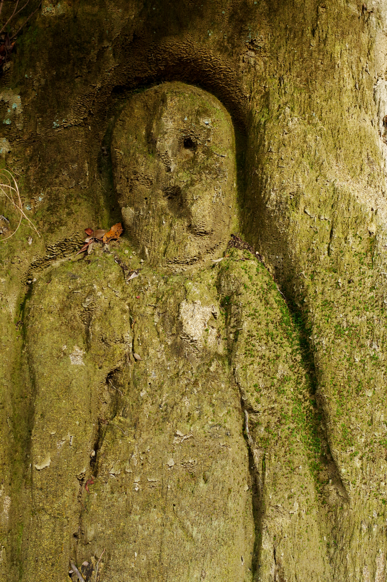 f:id:blue_rock53:20220109152113j:plain