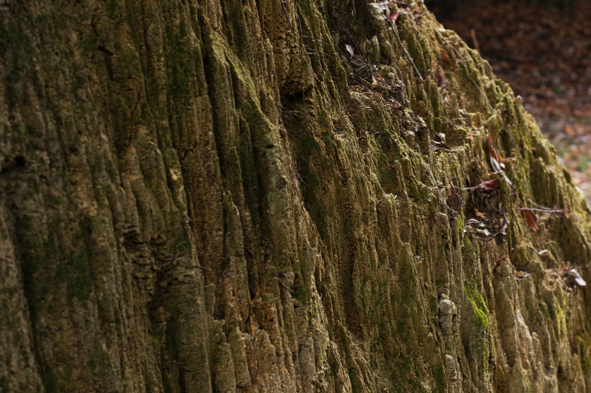 f:id:blue_rock53:20220109152208j:plain