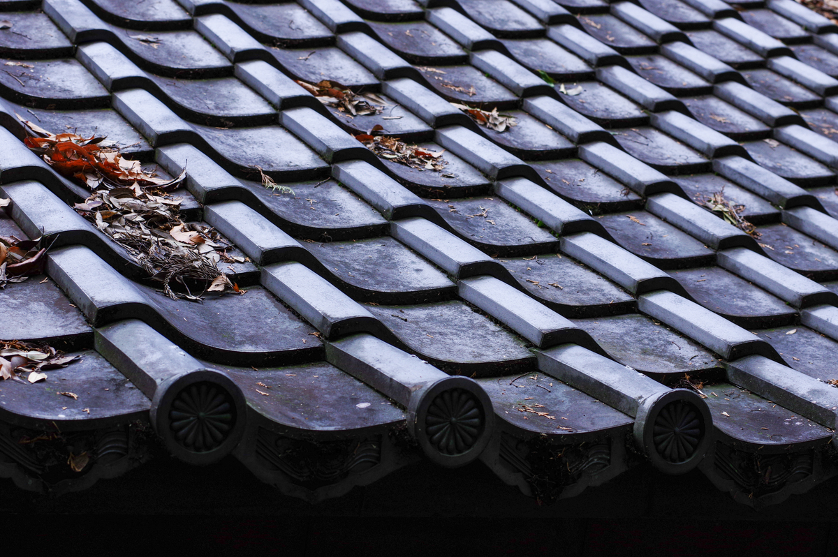 f:id:blue_rock53:20220109152259j:plain