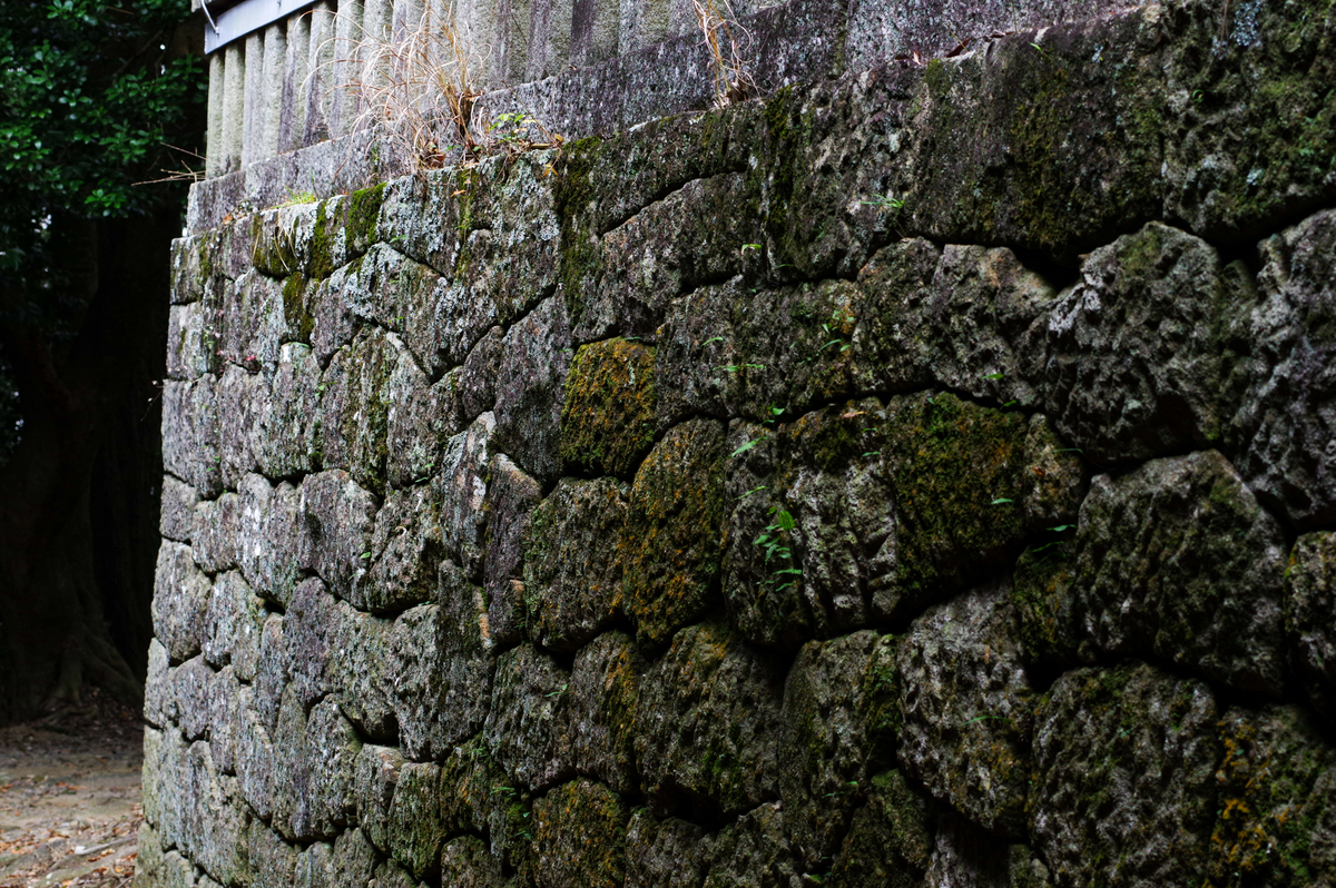 f:id:blue_rock53:20220109152304j:plain