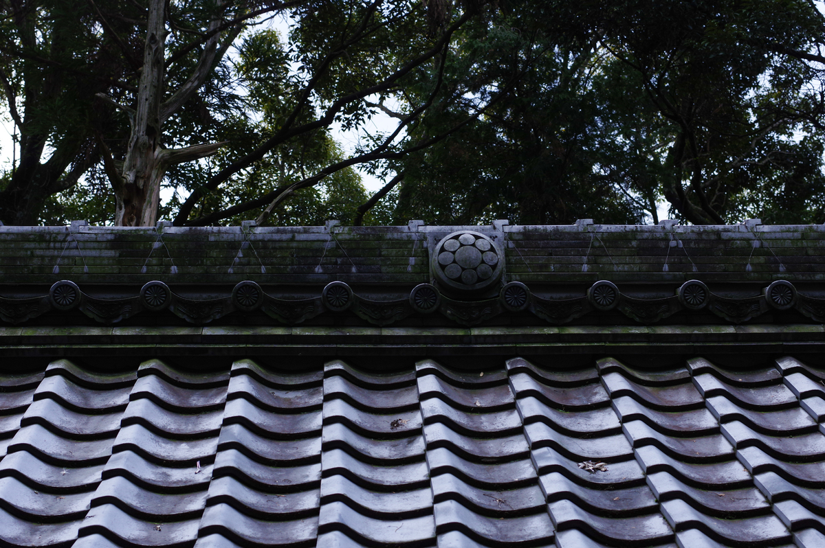 f:id:blue_rock53:20220109152309j:plain