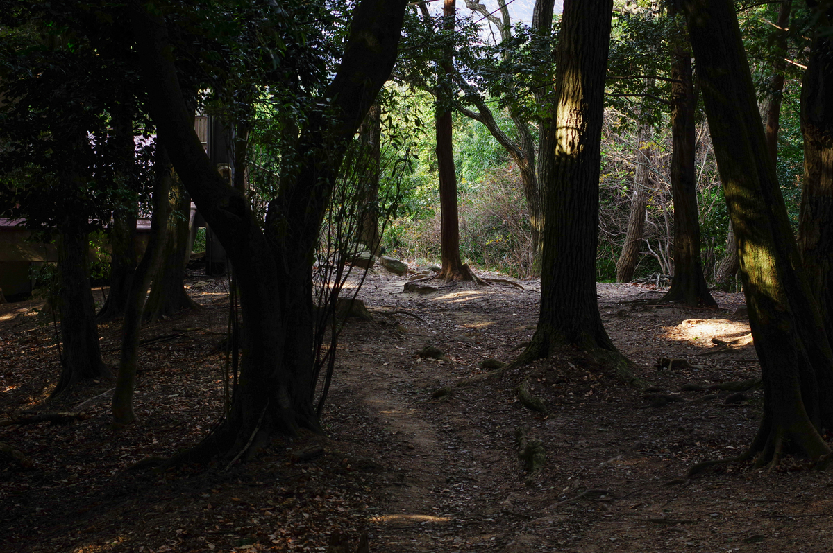 f:id:blue_rock53:20220109152507j:plain