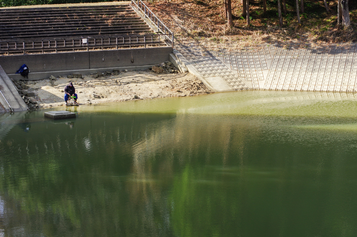 f:id:blue_rock53:20220109152535j:plain